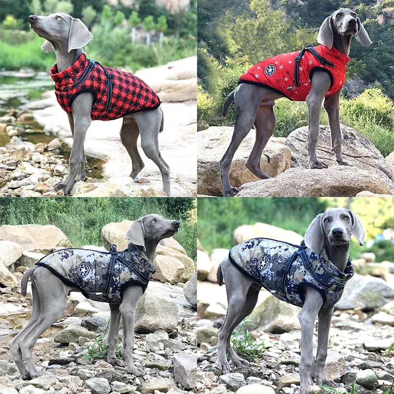Premium Waterproof Dog Jacket with Harness - Winter Coat for Large Breeds, Including Labrador, Chihuahua, and French Bulldog